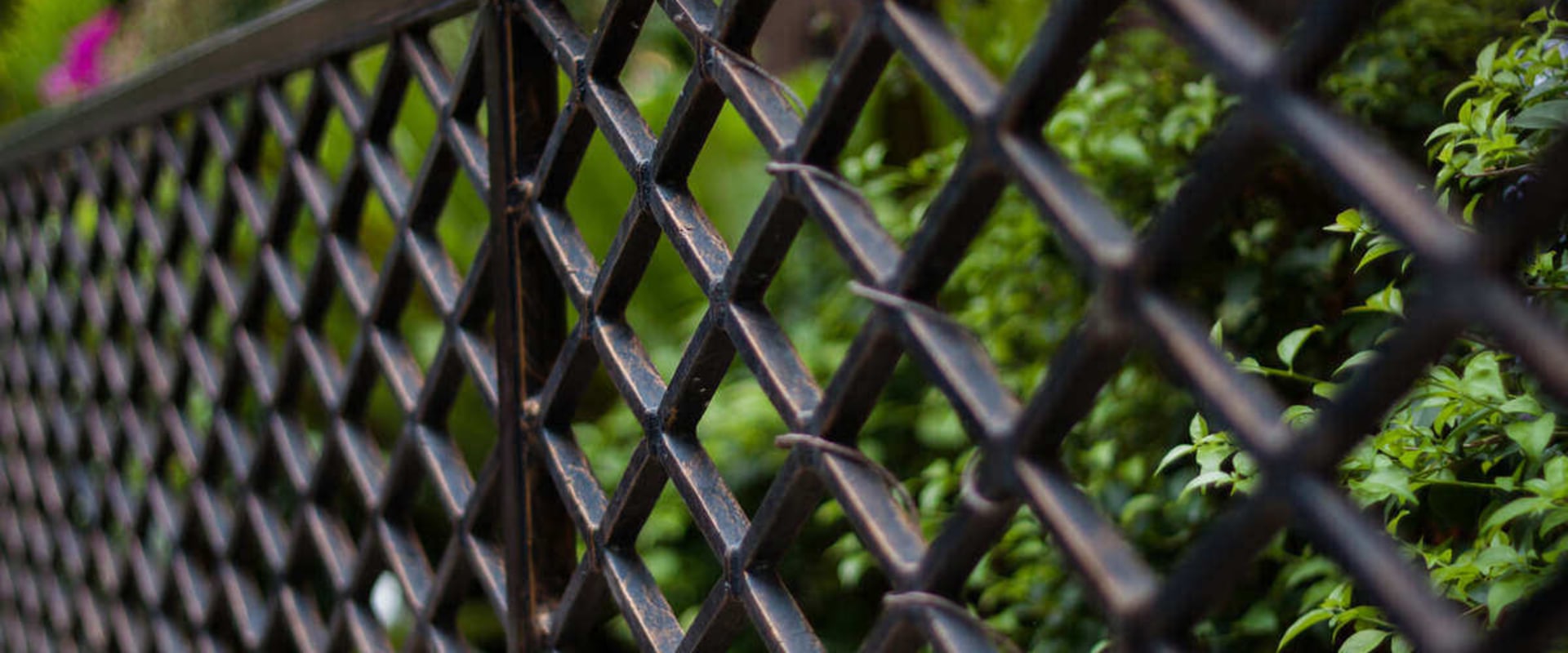 Wrought Iron Fencing Maintenance Requirements