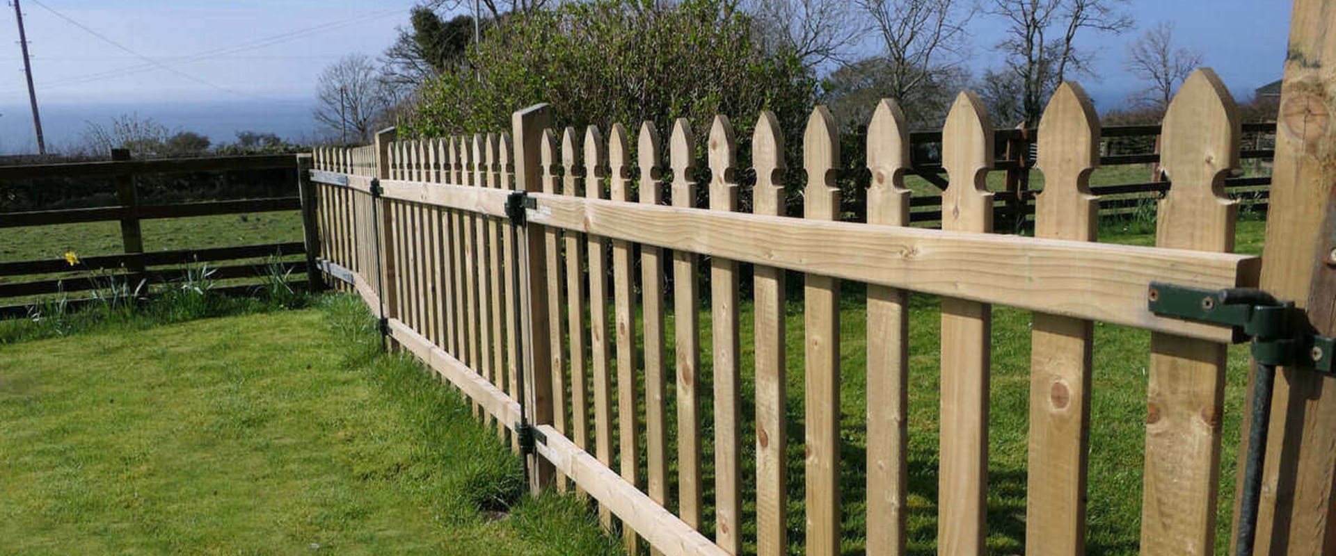 Wood Fencing Pros and Cons